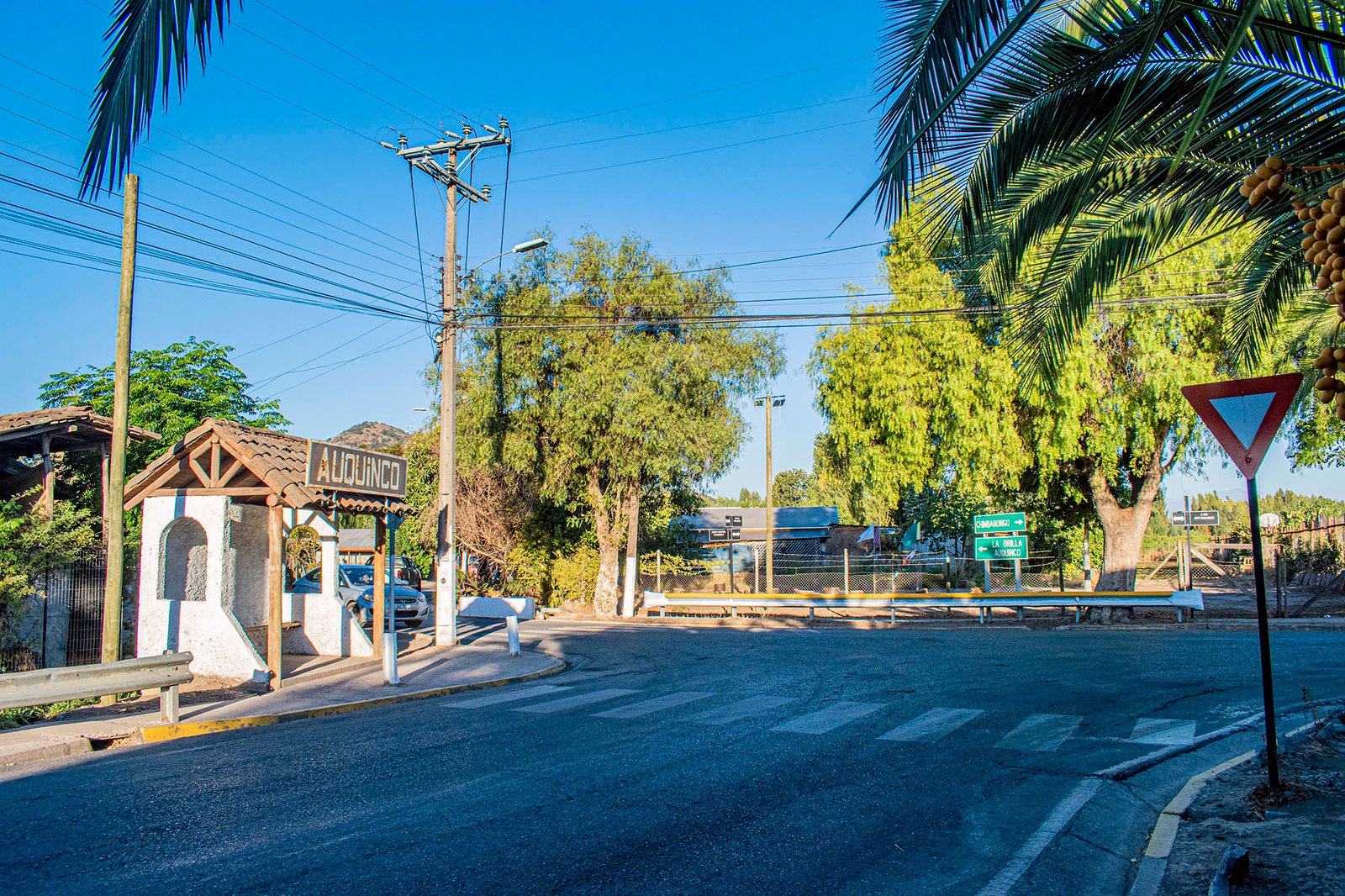 Vista de Chépica